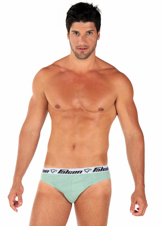 Cueca slip em Algodão